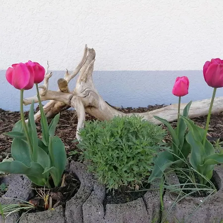 Boddenhus Auf Rügen - Und