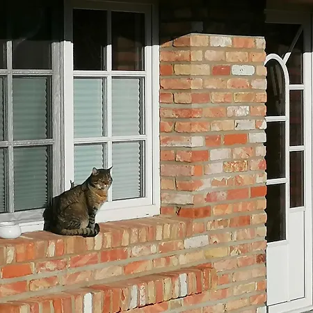 Apartment Boddenhus Auf Rügen - Und *