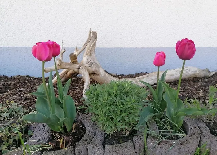 Boddenhus Auf Ruegen - Und